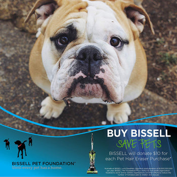 Bissell Pet Hair Vacuums