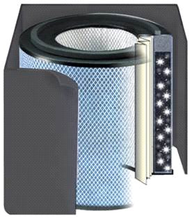 Austin Air Healthmate Plus Replacement Filter with Prefilter, FR450